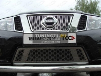 Решетка радиатора (лист) Nissan Terrano 2014